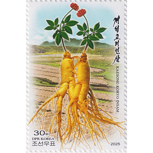 КНДР, 2025,Кэсон Корё Женьшень, 1 марка